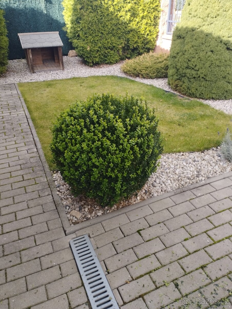 Дом и сад - 3