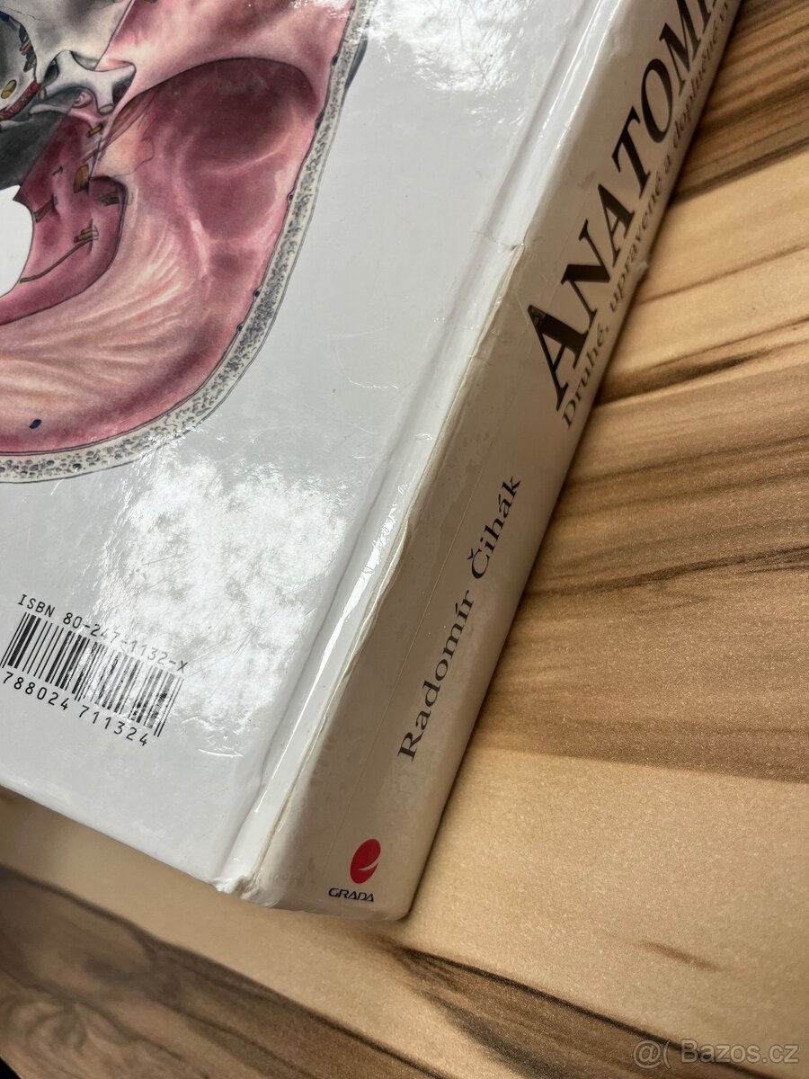 Anatomie 3 - Čihák - 3
