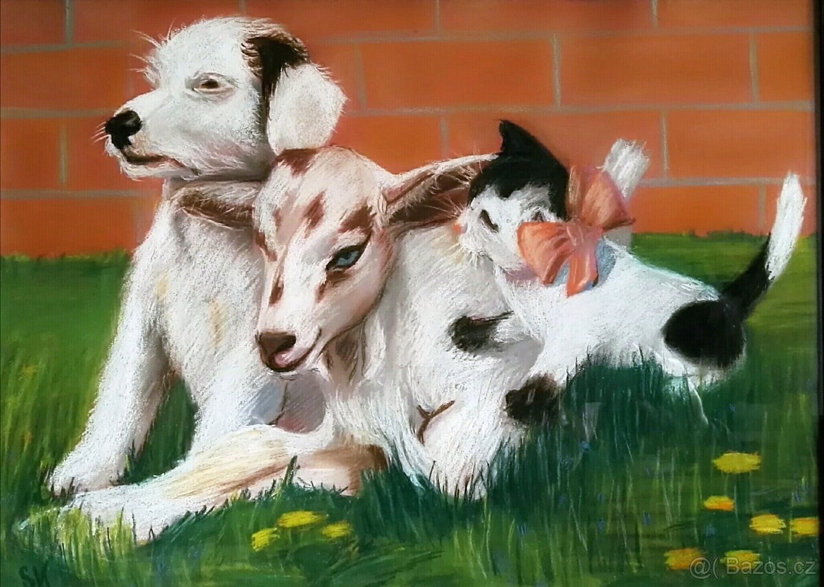 KŮZLE , PEJSEK A KOČIČKA / SK / pastel - 3