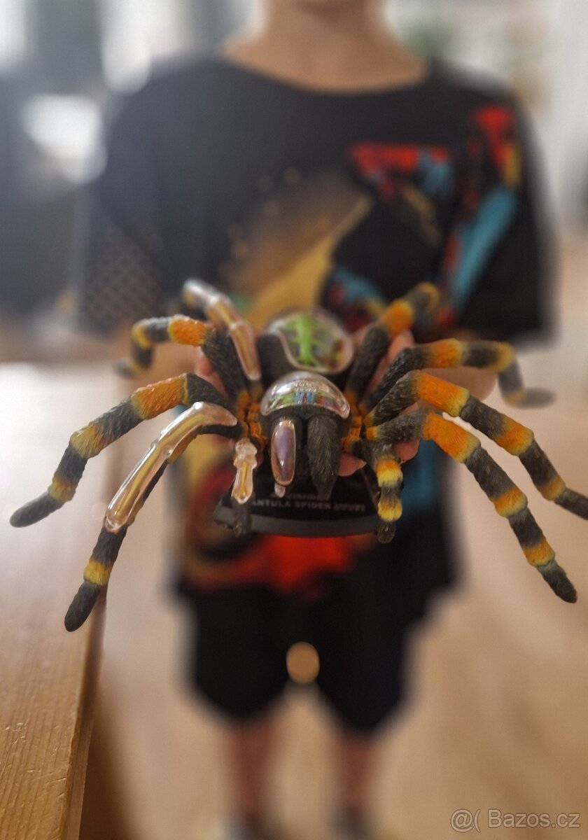 4D model Tarantule - 3