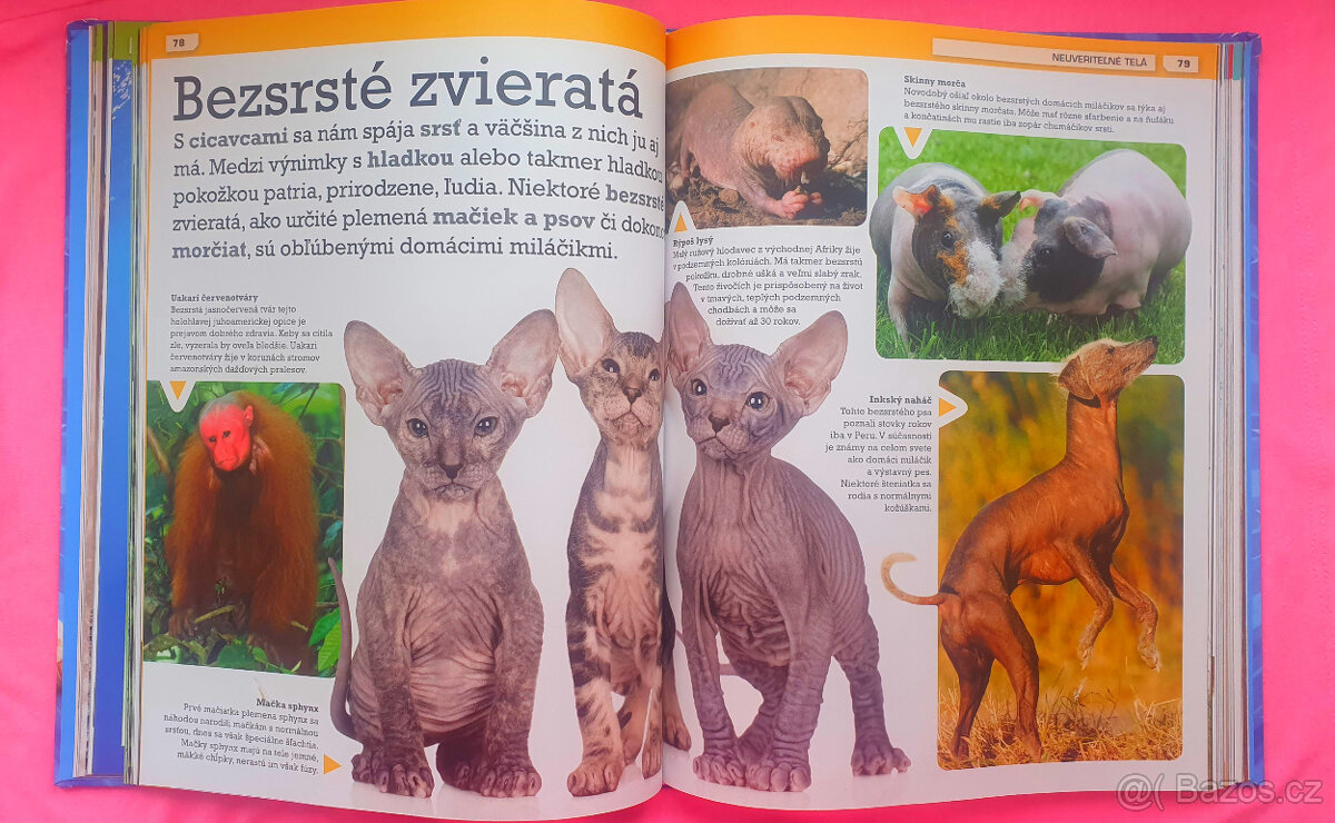 Dtěské knihy za 1 EUR. ♥ - - 3