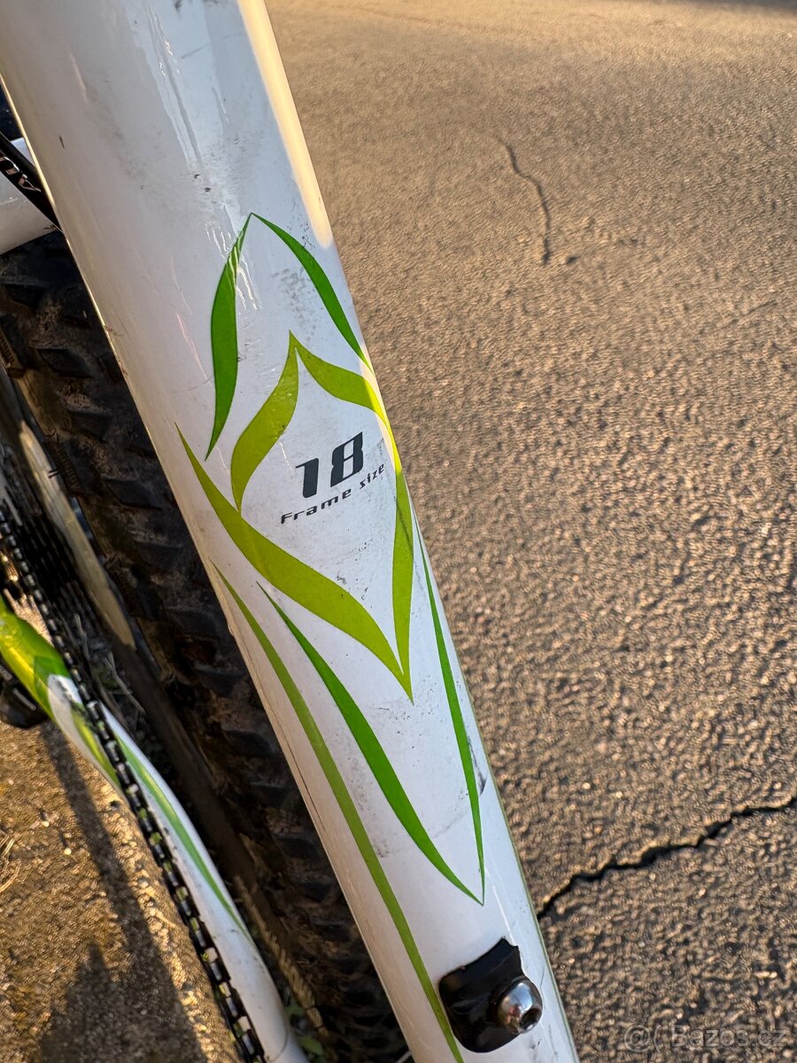 Author basic ASL "18" - 3