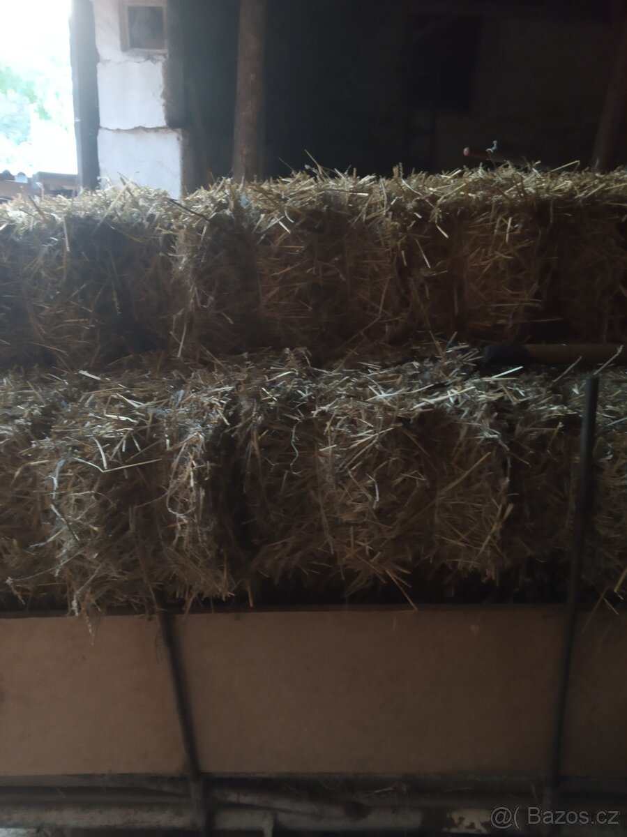 Otavy, sláma 2025 a seno 2024. - 3