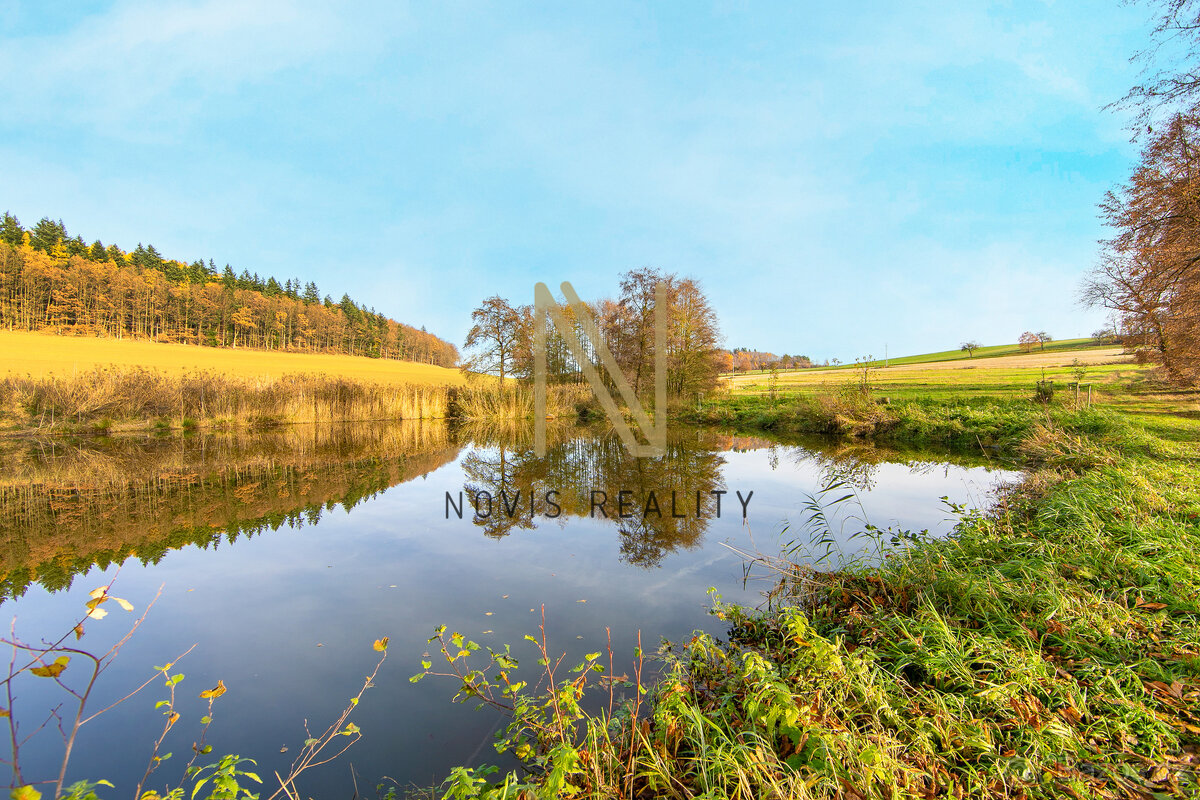 Prodej, rybník, 2 713 m², Týnec, okres Klatovy - 3