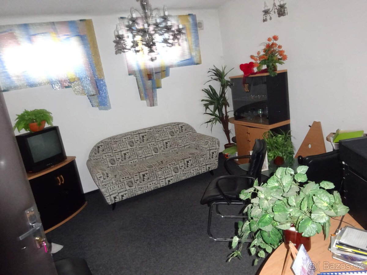 Pronájem kanceláří - 3