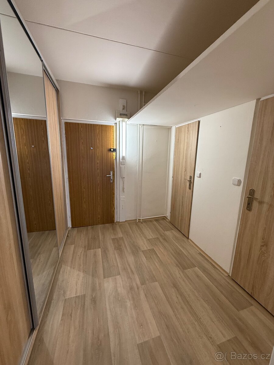 Pronájem bytu 1+kk, Brno- Nový Lískovec - 3