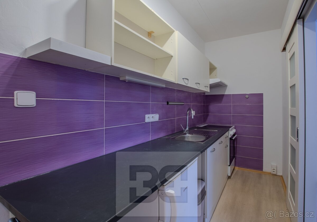 Pronájem bytu 2+1 31 m², Plzeň - Severní Předměstí - 3