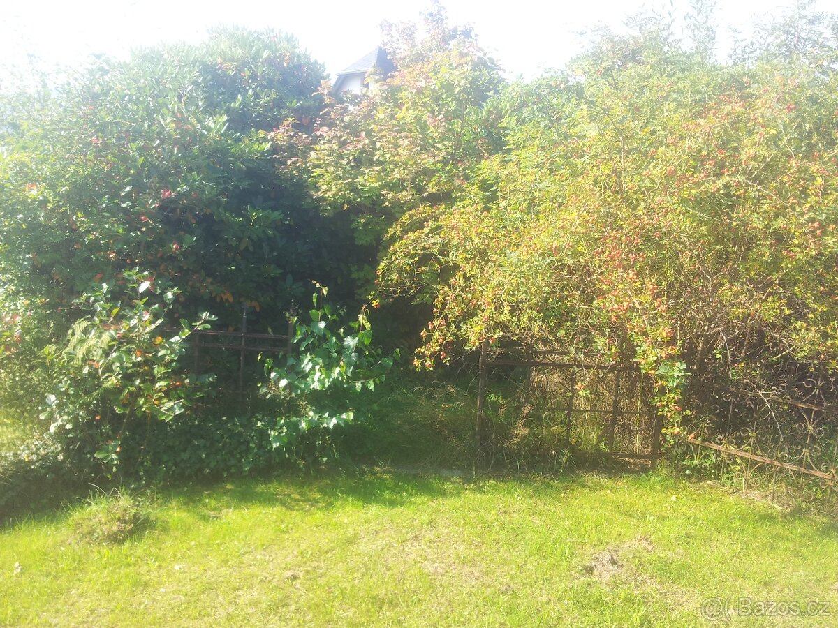 Sekání trávy zástřih živých plotů frézování pařezů - 3