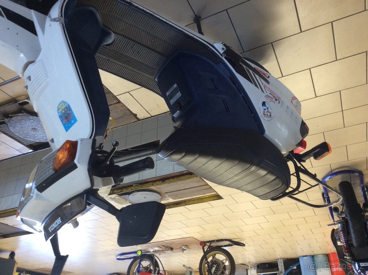 Honda Lead NH 50 - 3