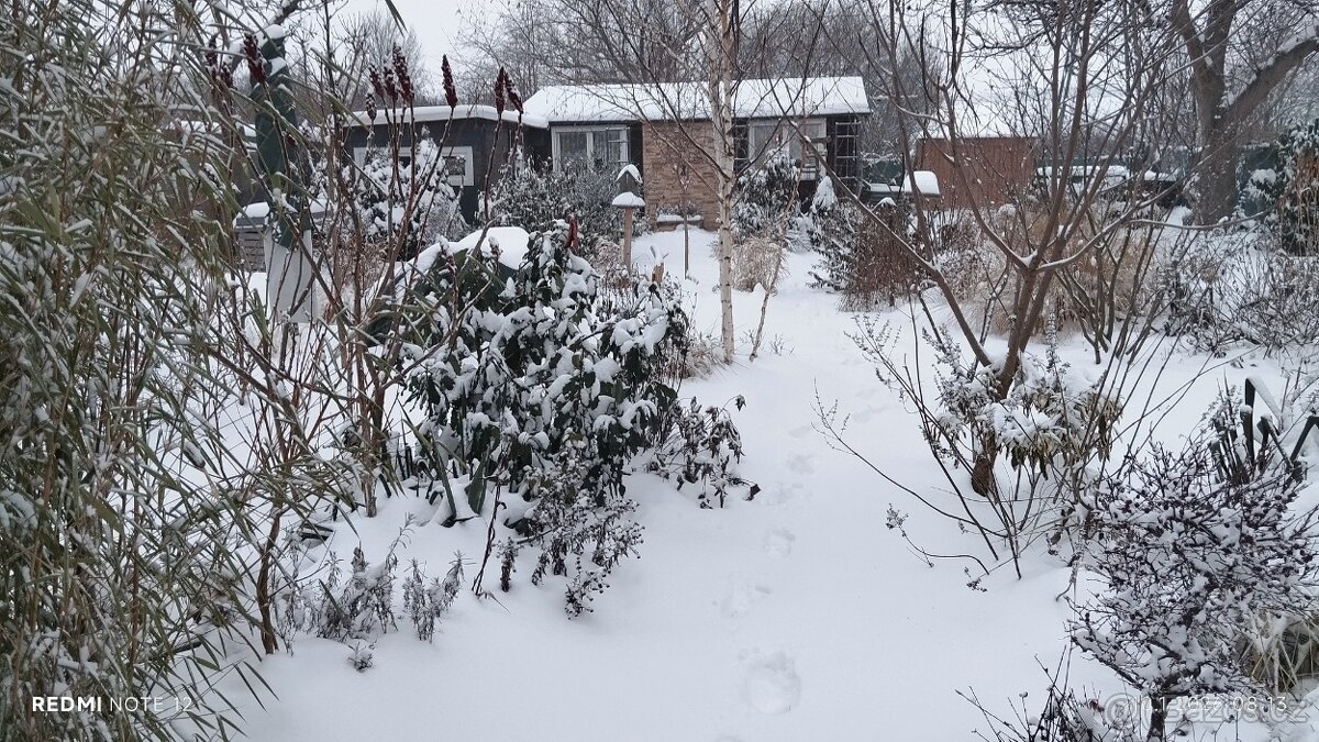 Chata se zahradou - 3