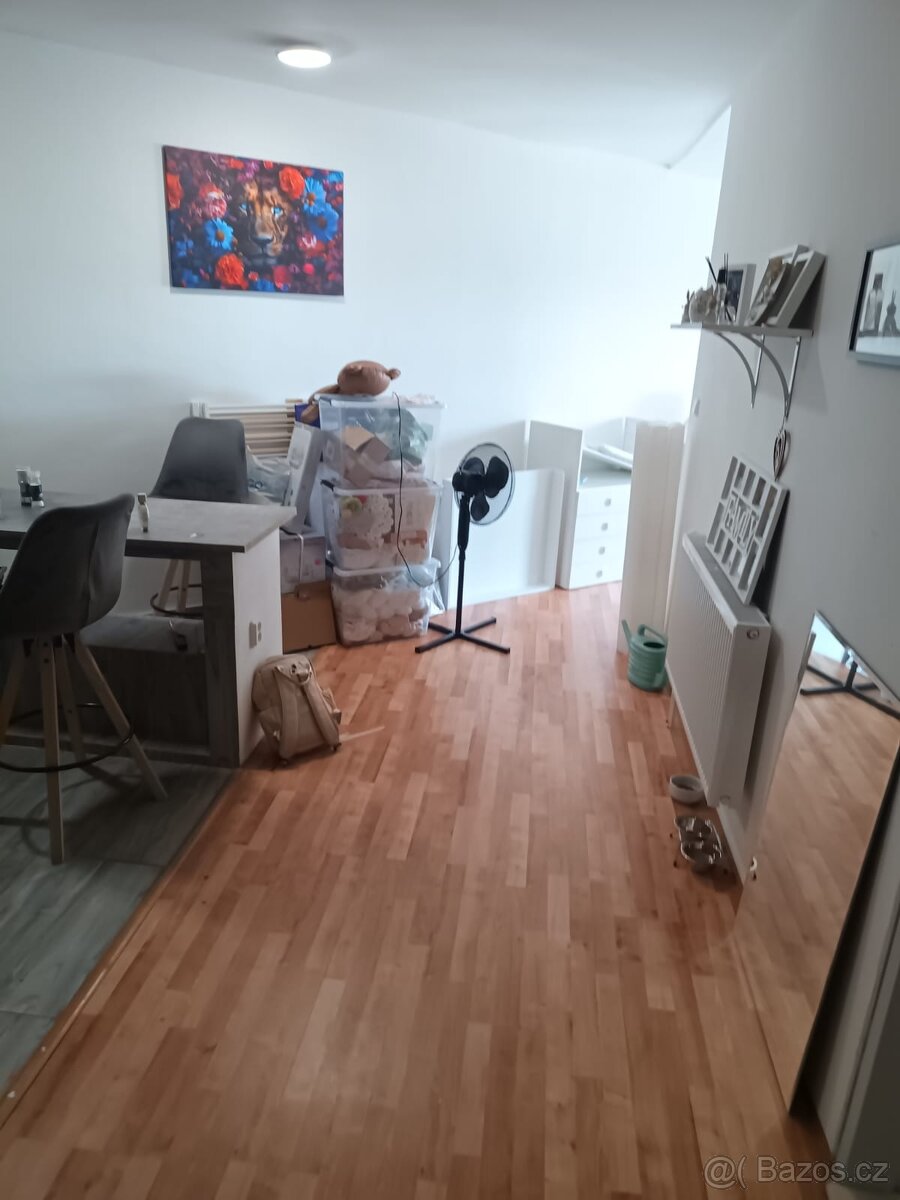 Pronajmu 2+1 v Aši - 3