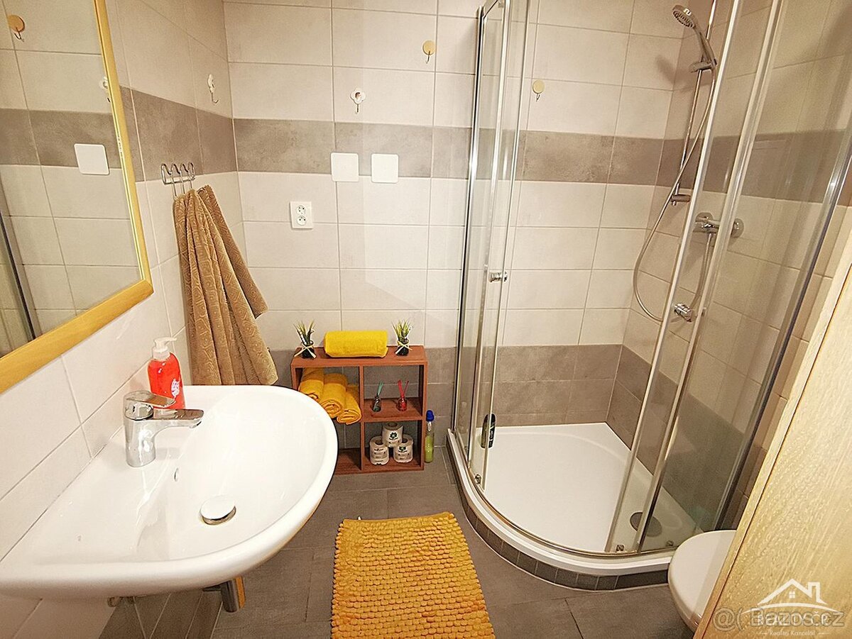 Pronájem 2,5 +1 U vlakového nádraží - 3