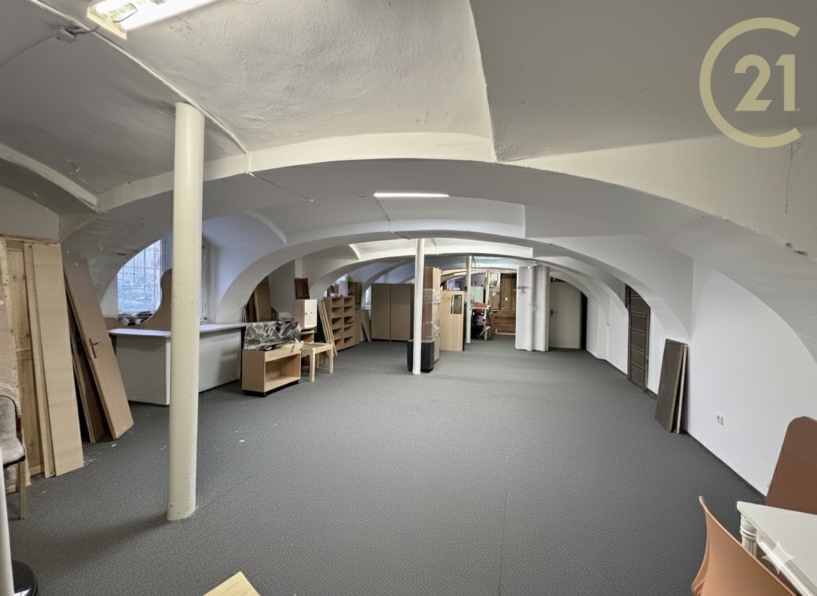 Pronájem prostorného obchodního objektu - 3