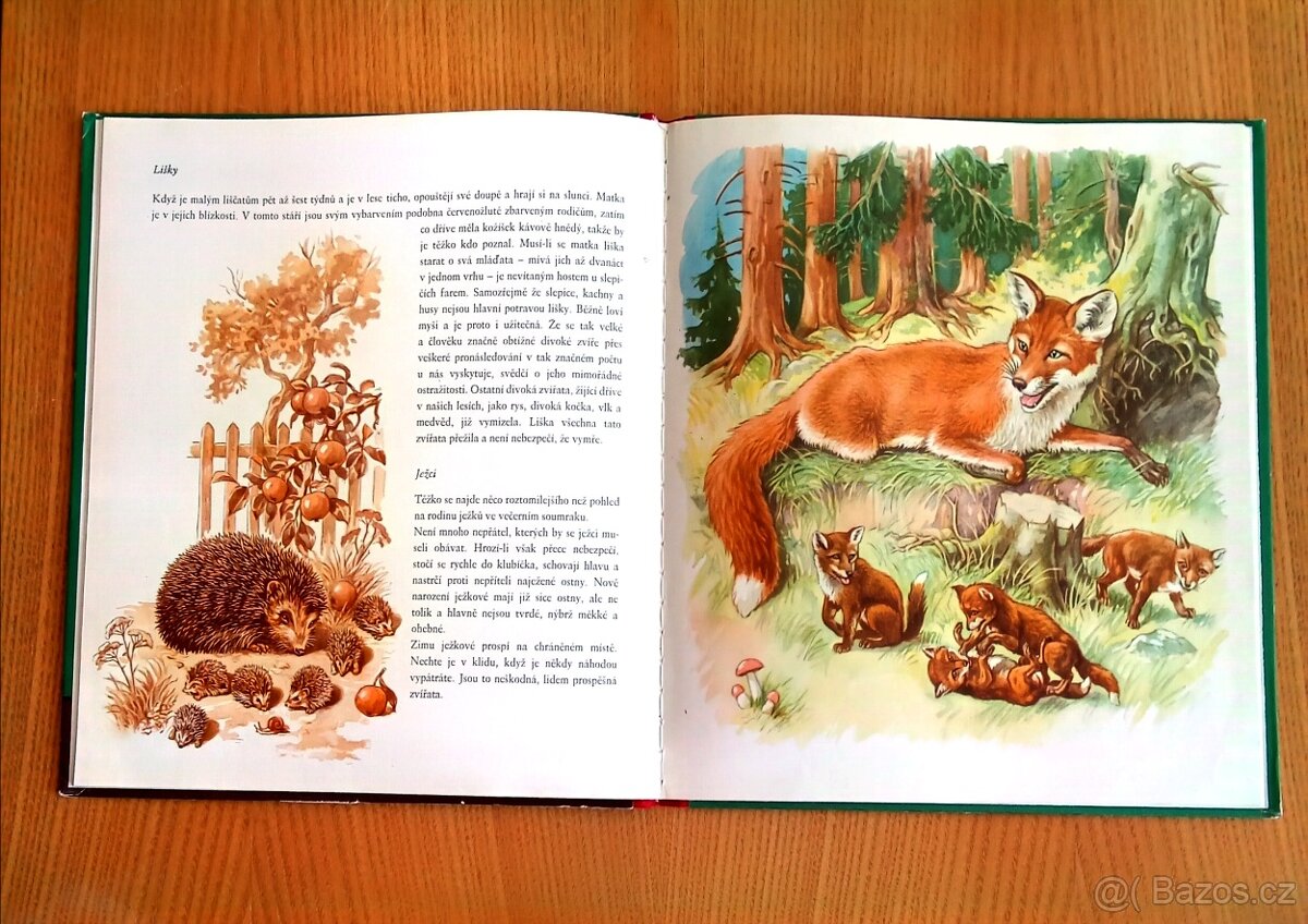 příroda a zvířátka - 3