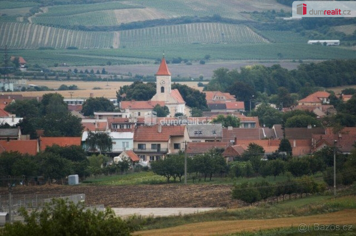 Prodej vinice v Dolních Dunajovicích, Zimní vrch - 3