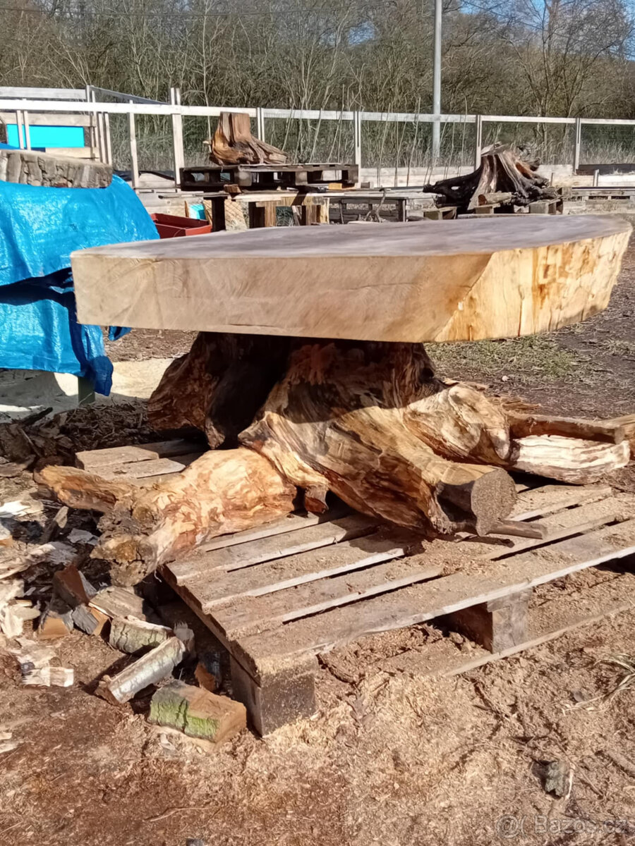 masivni stul na korenu - 3