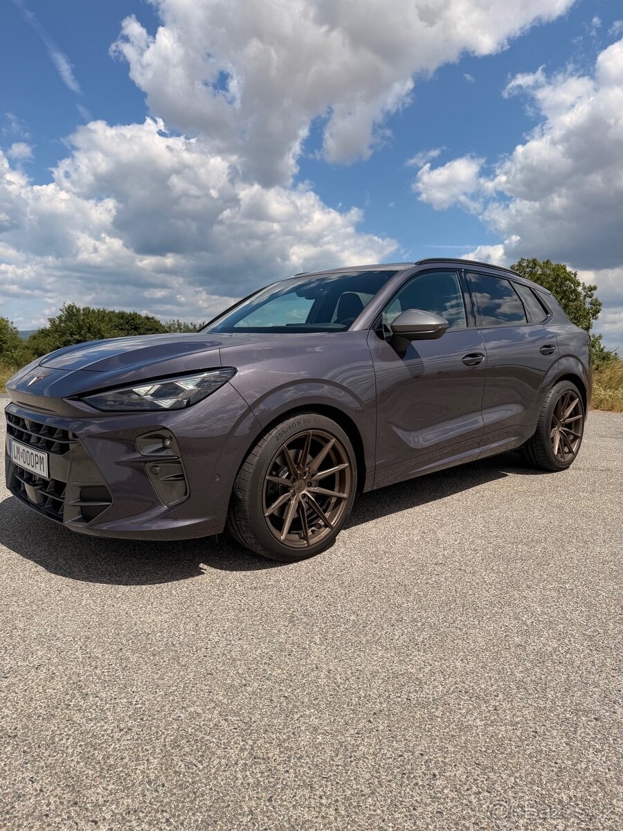 Cupra Terramar Terramar VZ 2.0 TSI 4D - 3