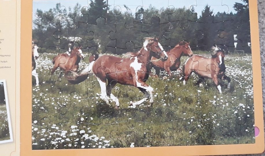 Kniha puzzle koně - 3