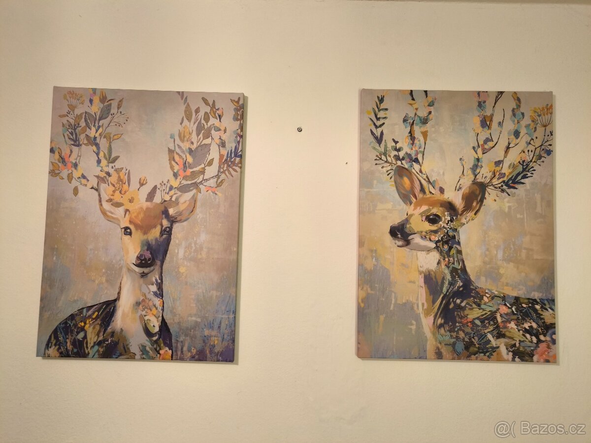 Obraz /y z IKEA barevný sob - 3