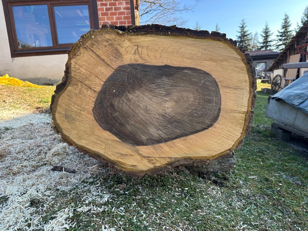 Prodám kmen ořechu - 3