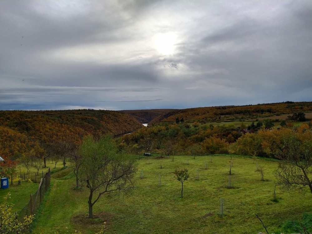 zahrada k pronájmu - skvělá lokalita, rekreace, vinohrad - 3