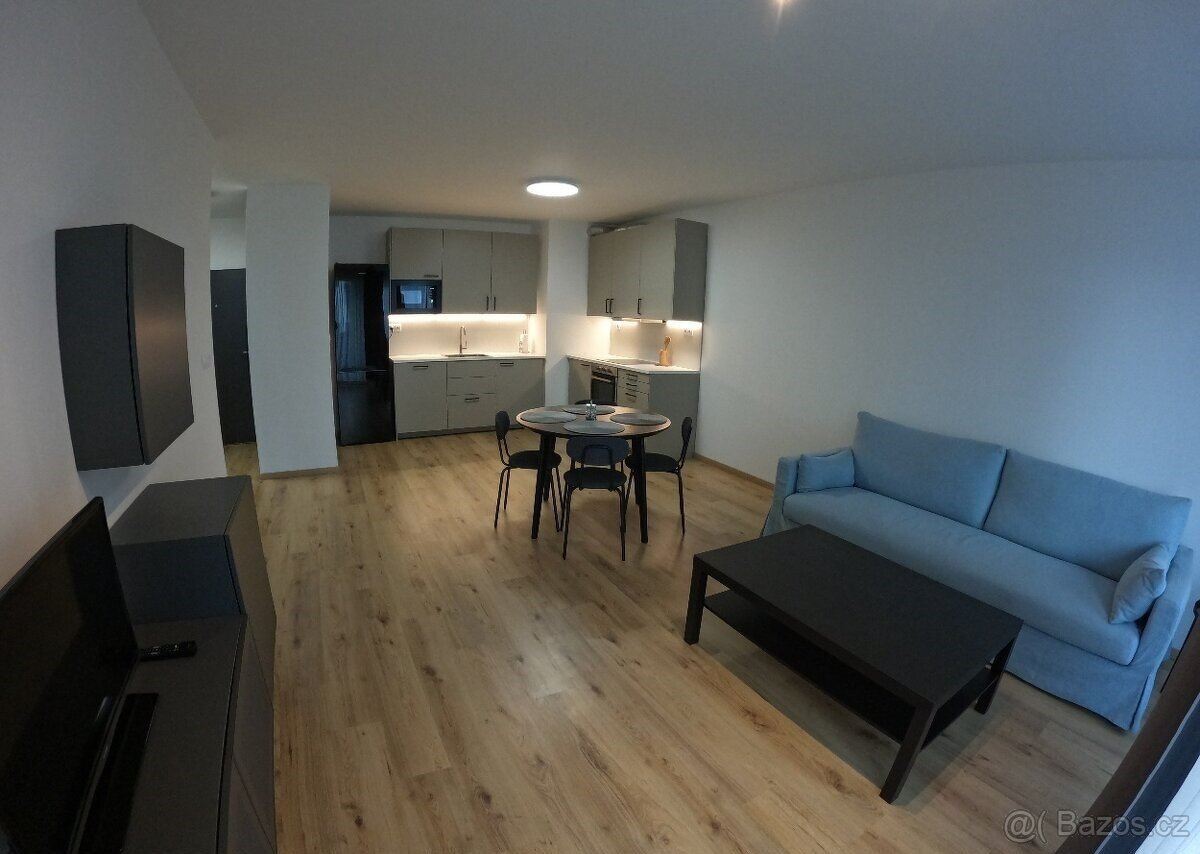 Pronájem bytu 1+1 50 m2 v Brno, 3. patro - 3