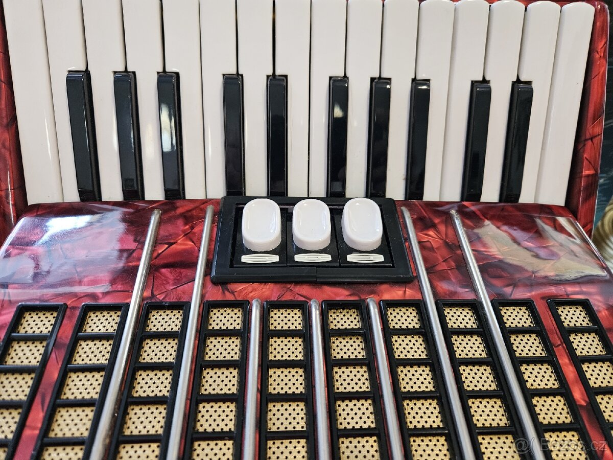 Akordeon Delicia Junior - 3