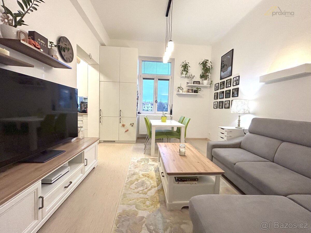 Pronájem zrekonstruovaného bytu 2+1, 67m2, se zahradou, Dr. - 3