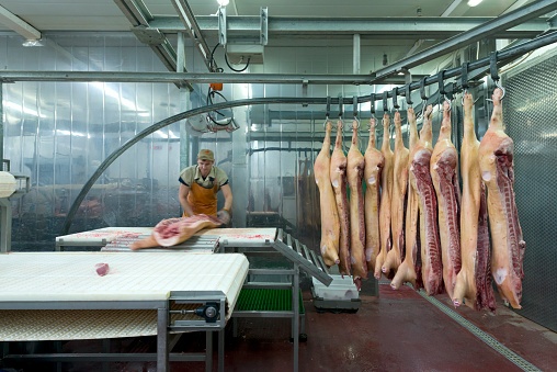 od ihned pomocné práce muži ženy v Rakousku - 3