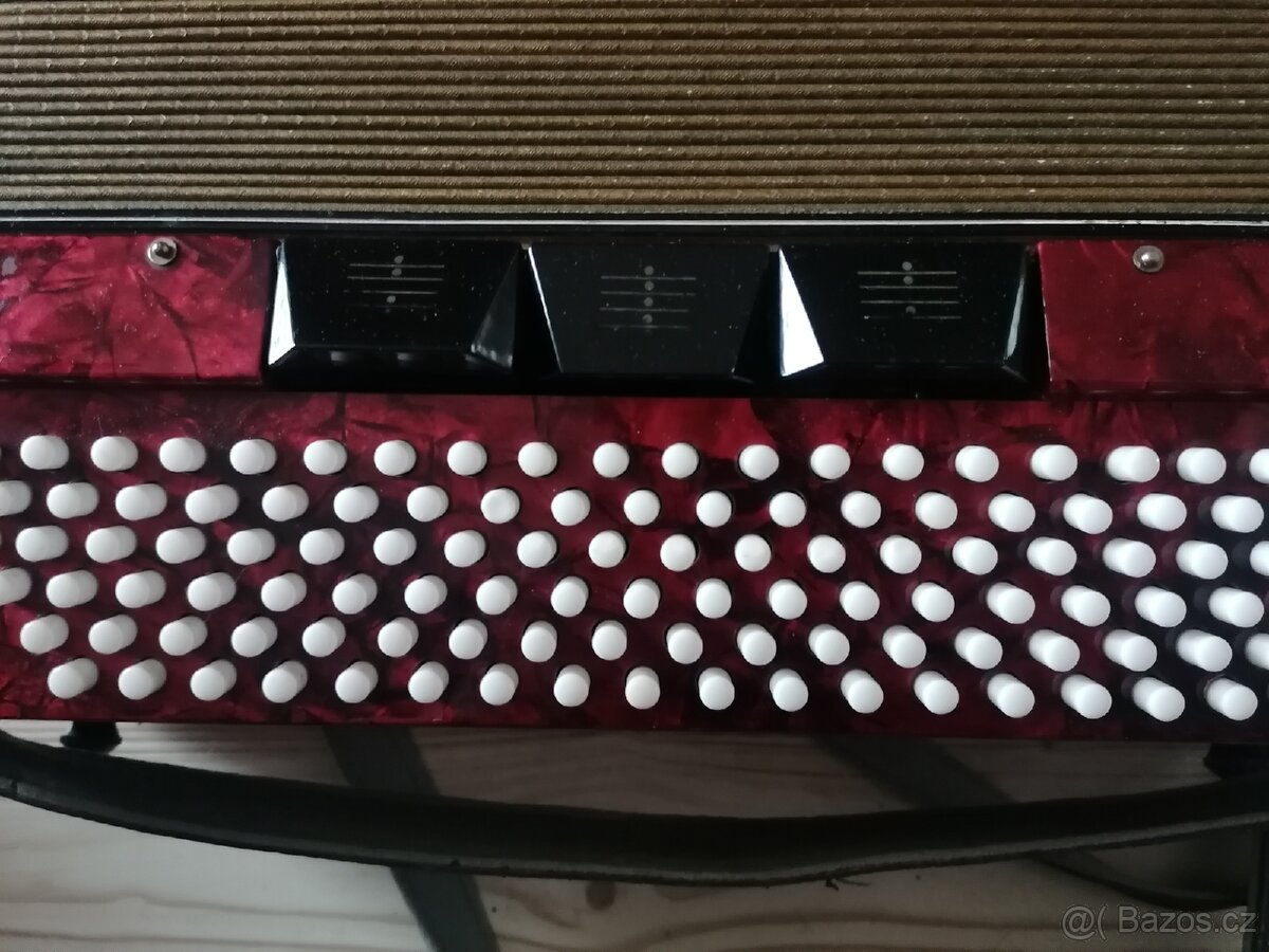 Akordeon Aida poGO - 3