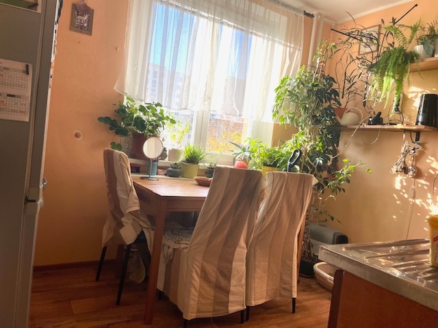 Prodej bytu 3+1 Brno, ul. Havelkova - 3