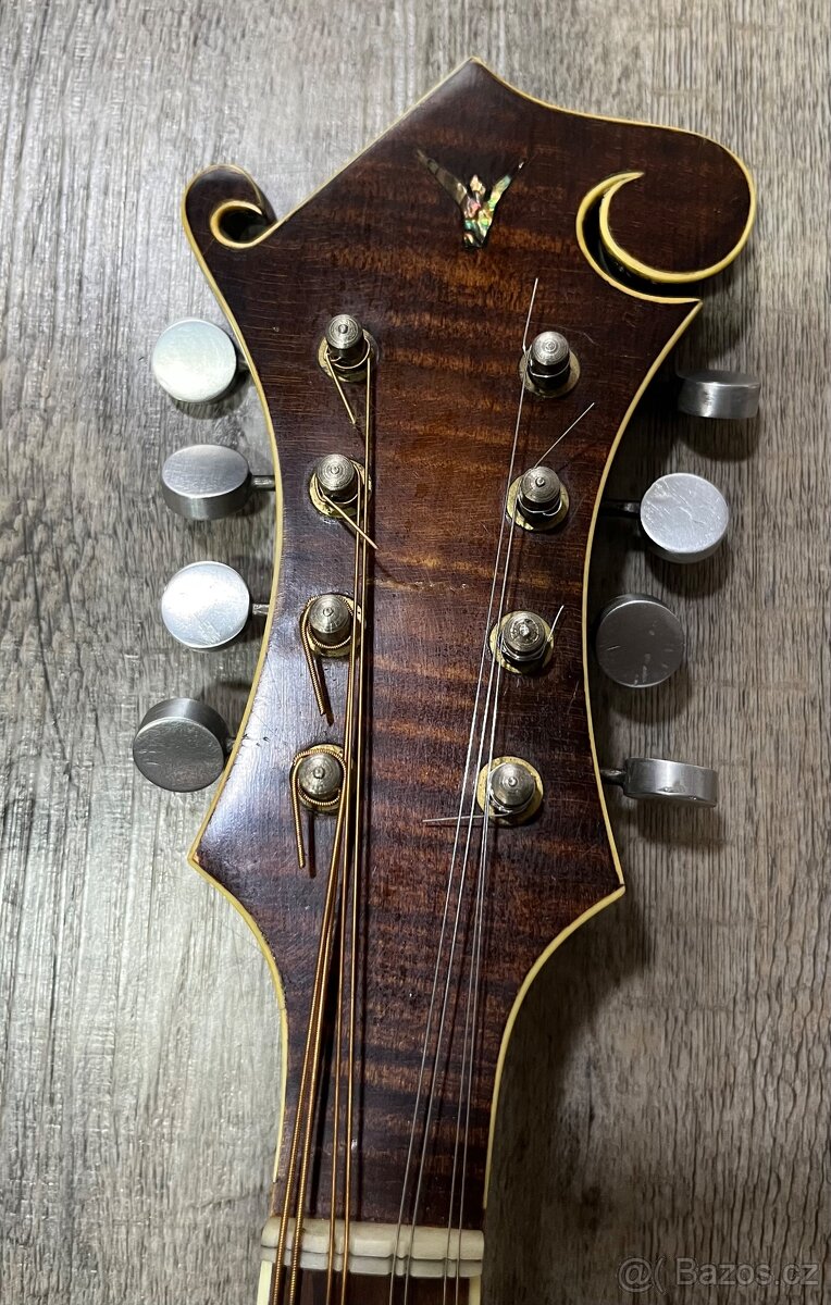 Mandolína model F-5 - 3