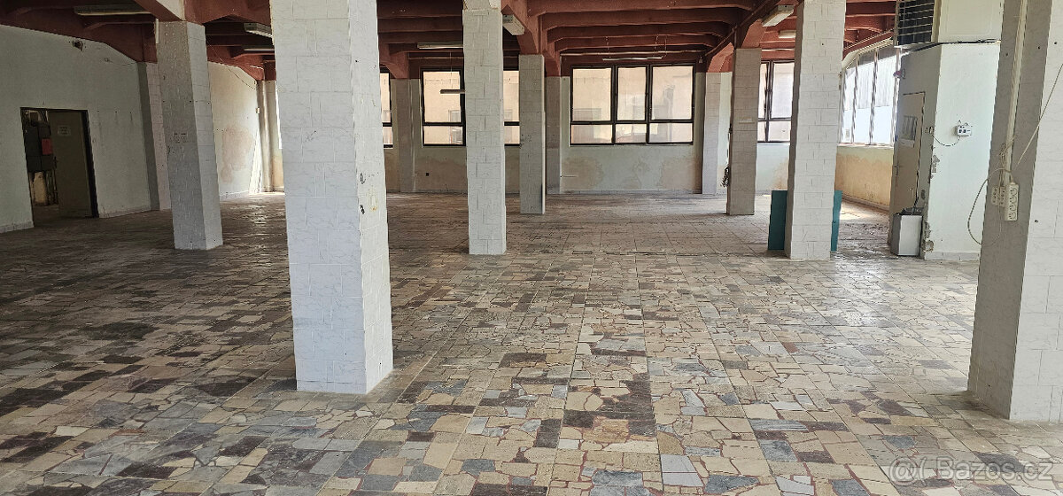 Pronajmu obchodní a skladové prostory - 3