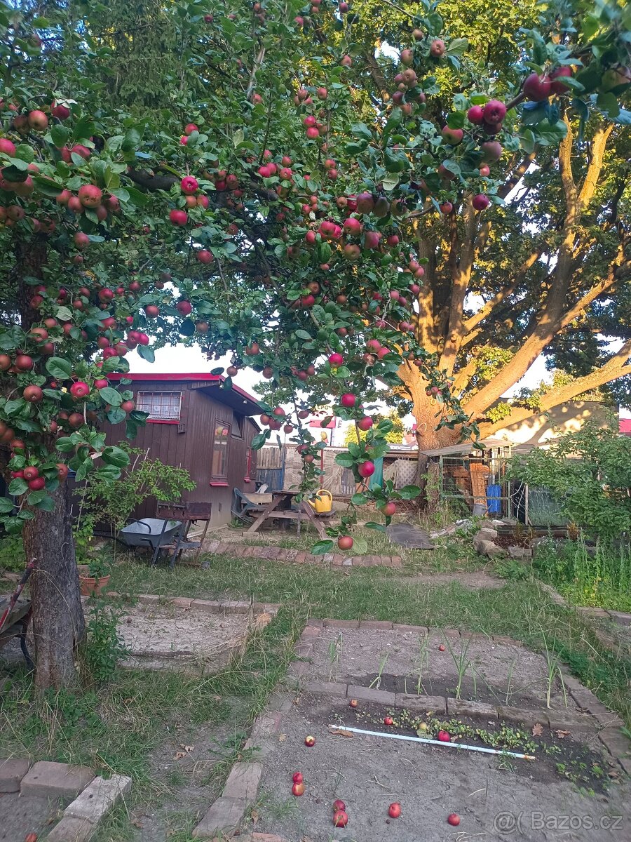 Pronájem zahrady v Plzni - Lobzy. Gril a rekreace. 1890 Kč - 3