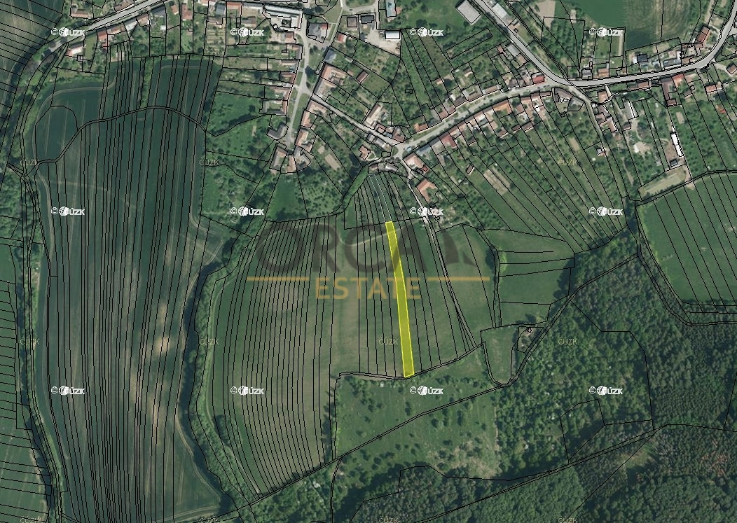 0,2 ha orné půdy v k. ú Cetechovice - 3