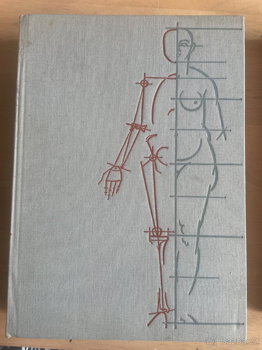 Kniha anatomie Gottfried Bammes - 3