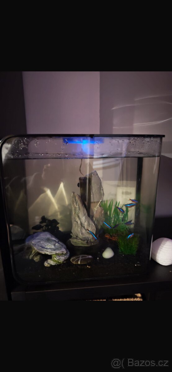 Biorb osvětlení den a noc - 3