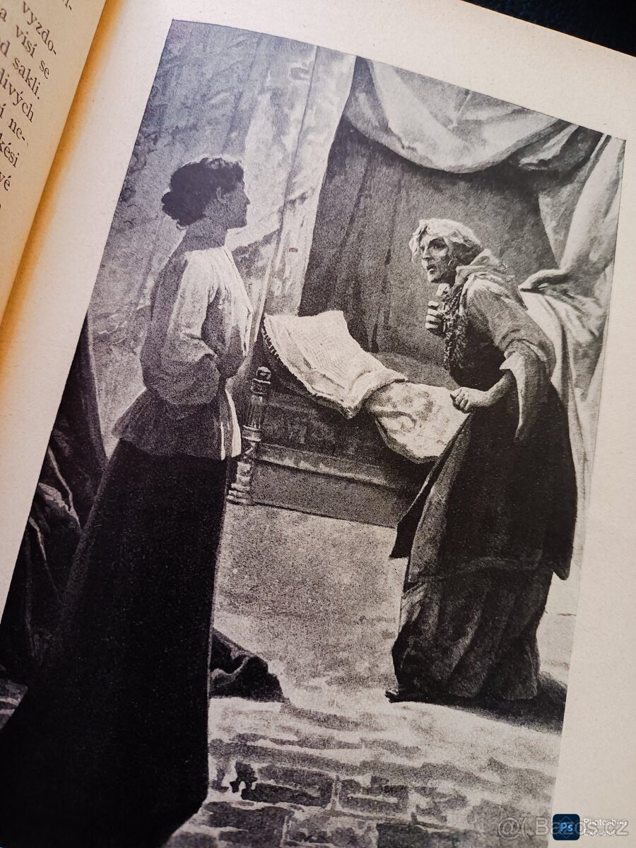 Kniha DŽAVACHOVSKÉ HNÍZDO L.A.ČARSKÁ rok vyd 1919, 219 Kč (9 - 3