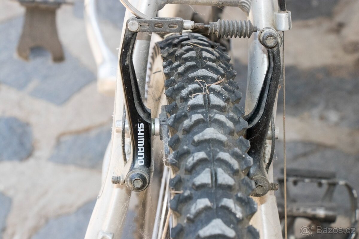 MTB Panther 21,5“ - 3