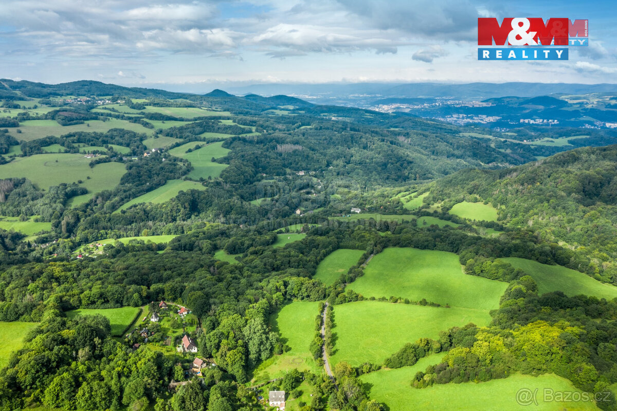 Prodej pastviny s lesním pozemkem 22.174 m² v Homoli u Panny - 3