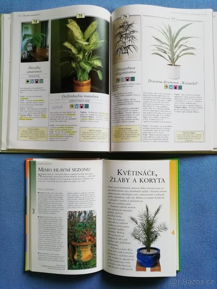 200 pokojových rostlin + Rostliny v nádobách +Zahrádka v kvě - 3