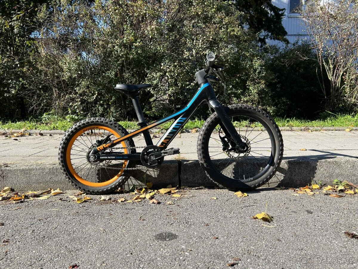 Canyon Offspring AL 16 - 3