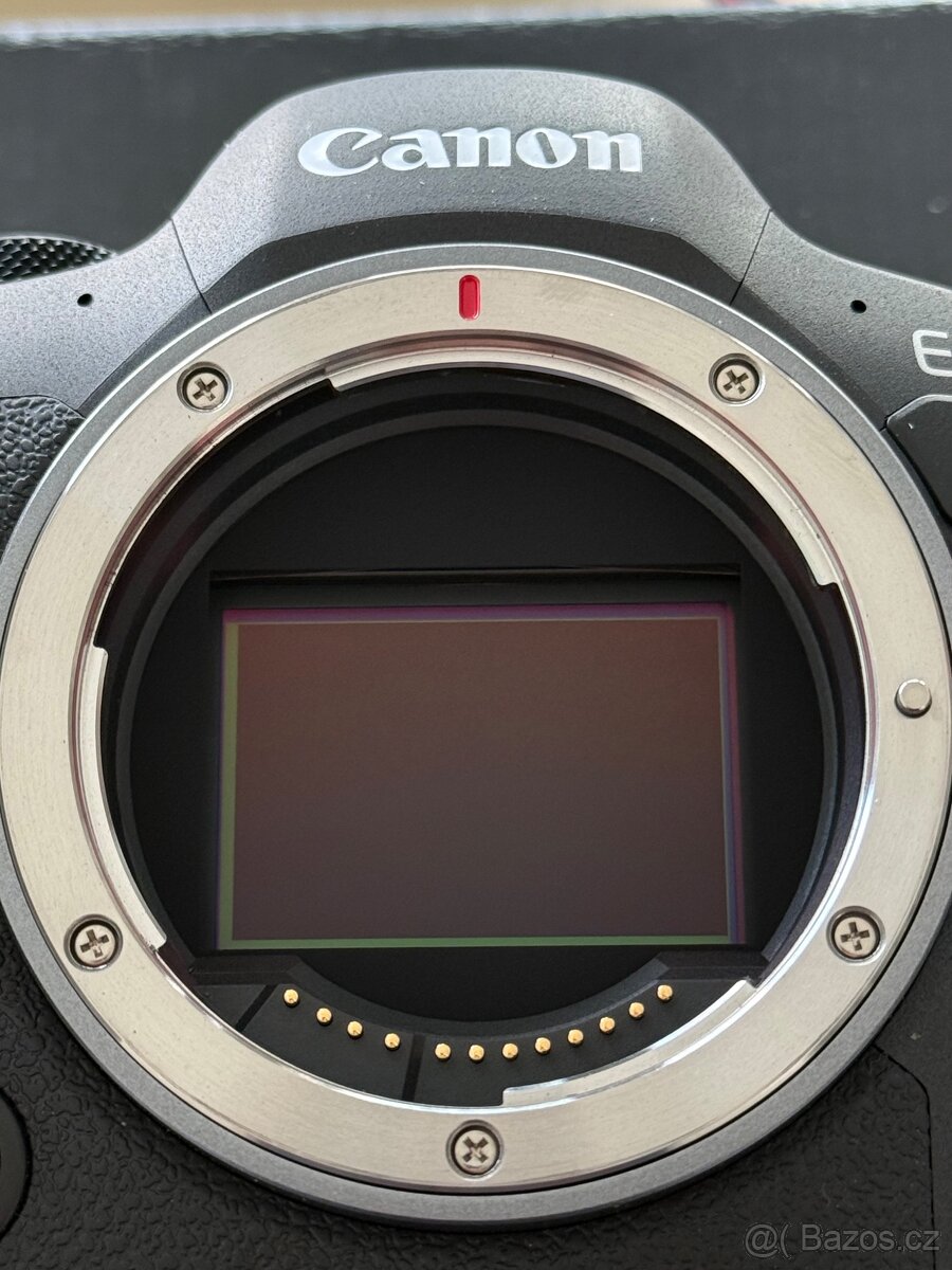 Canon EOS R6 Mark II - 3