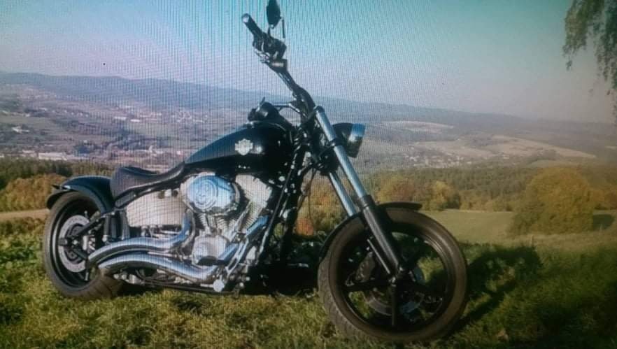 Harley-Davidson r.2009 - 3