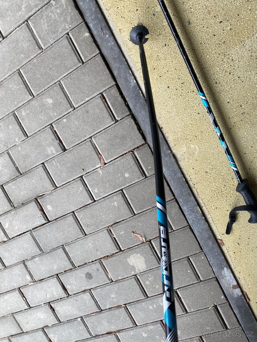 Lyžařské hůlky - 3