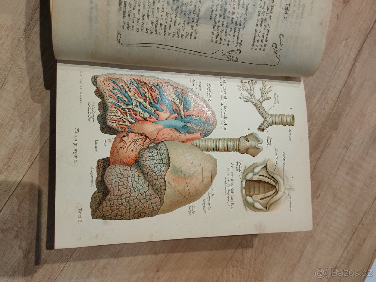 Staré německé knihy - 3