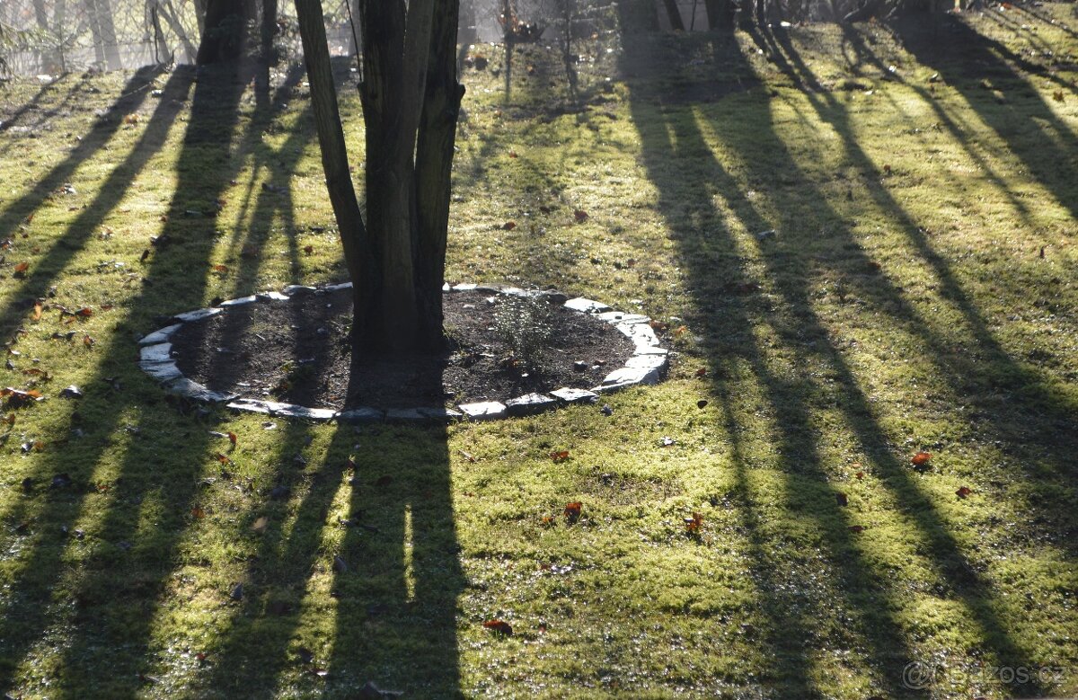 Černá dětská bunda Icepeak vel. 152 (11-12let) - 3