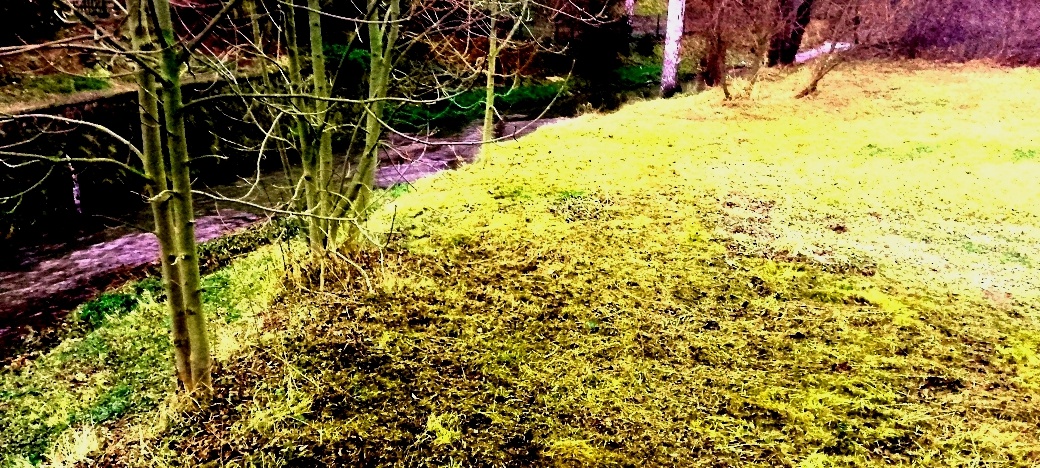 Pozemek stavební ok Děčín - 3