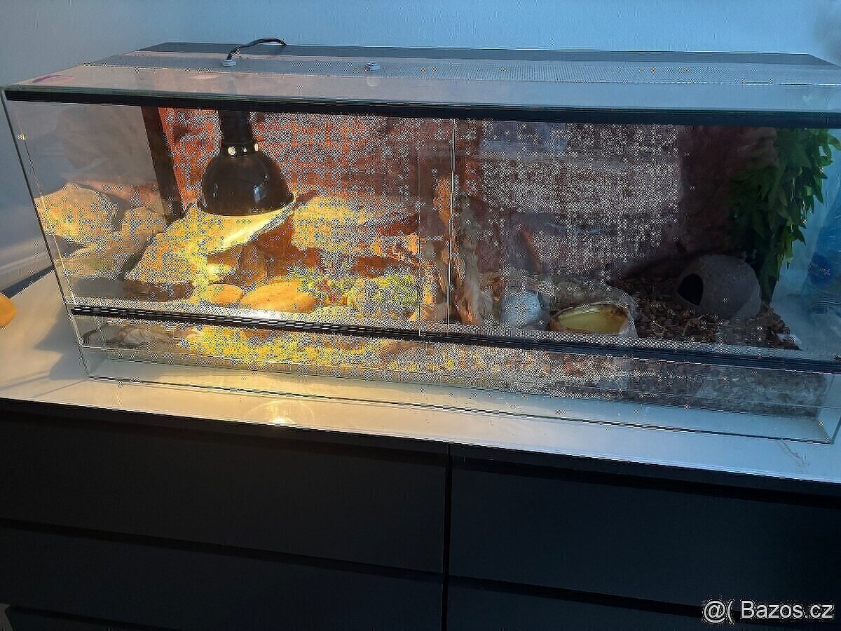 Terárium 120x50x50 s australským pozadím - 3