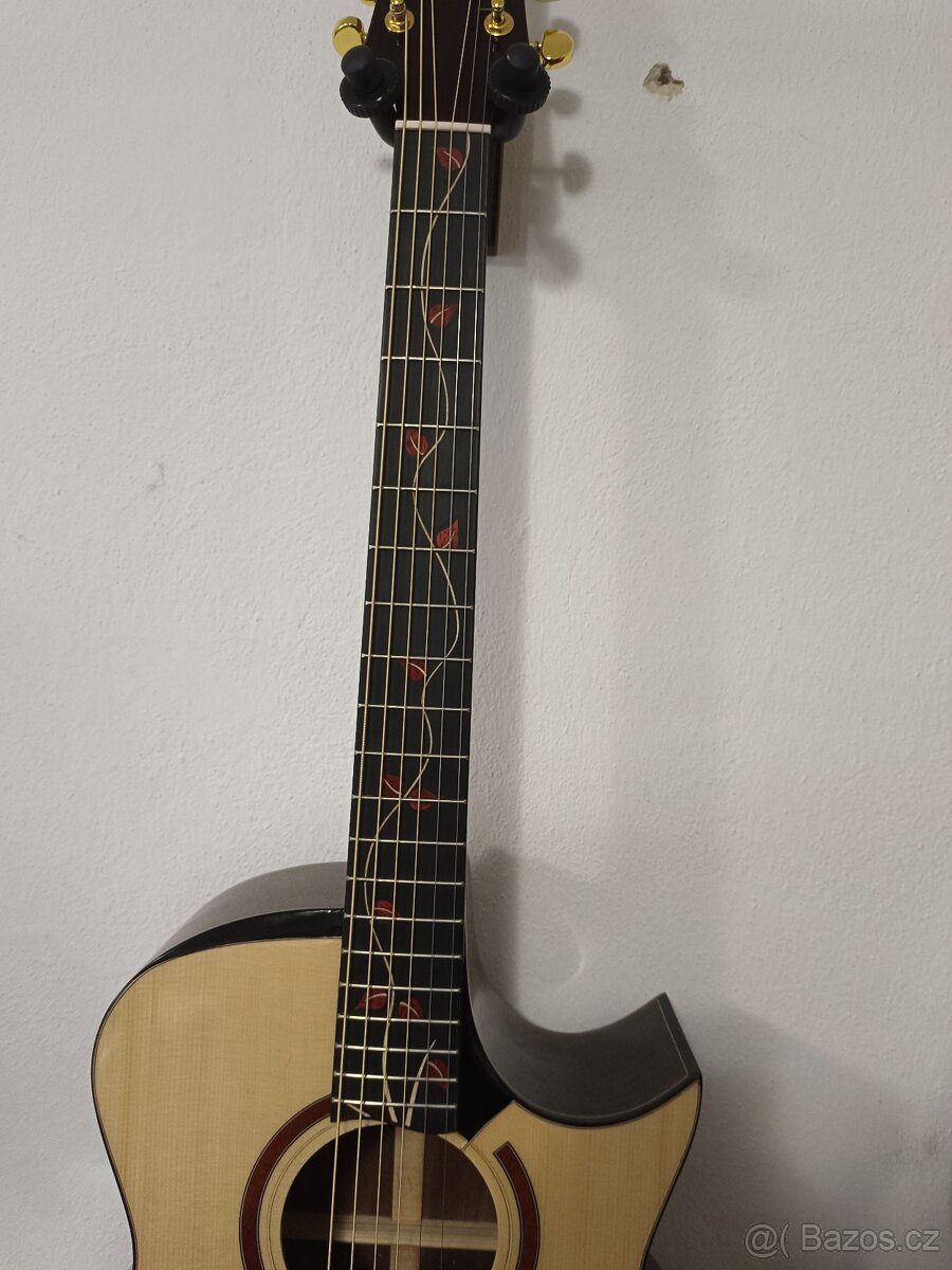 Nádherná kytara - 3